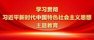 美女白虎屌逼学习贯彻习近平新时代中国特色社会主义思想主题教育_fororder_ad-371X160(2)